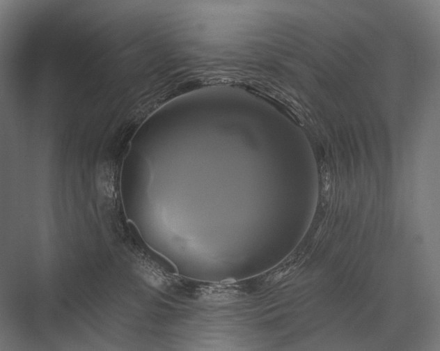 X0000076380331200610061131