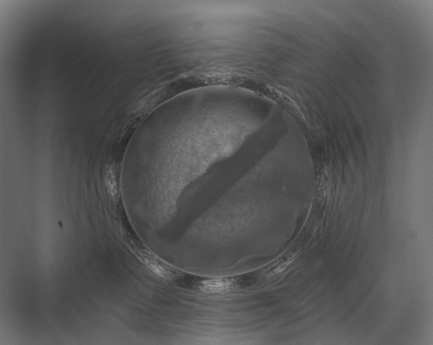 X0000076380335200610061131