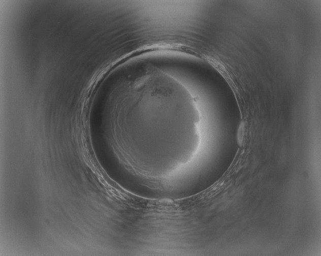 X0000076380337200610061130