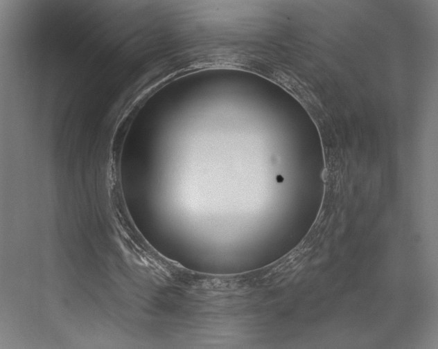 X0000076380338200610061130