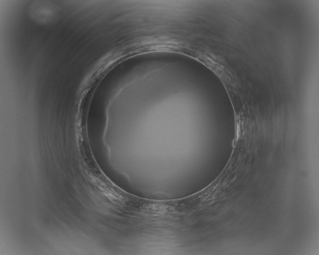 X0000076380339200610061130