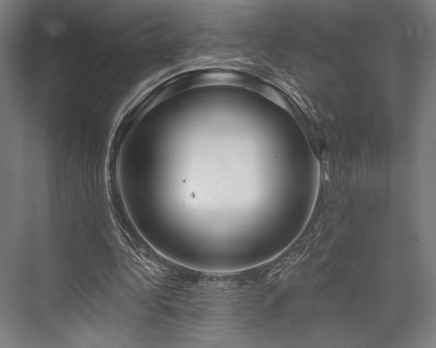 X0000076380340200610061130