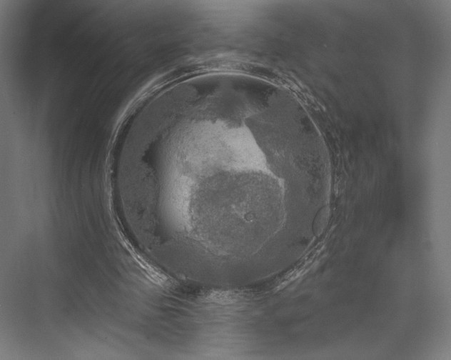 X0000076380341200610061130