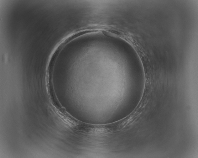 X0000076380342200610061130