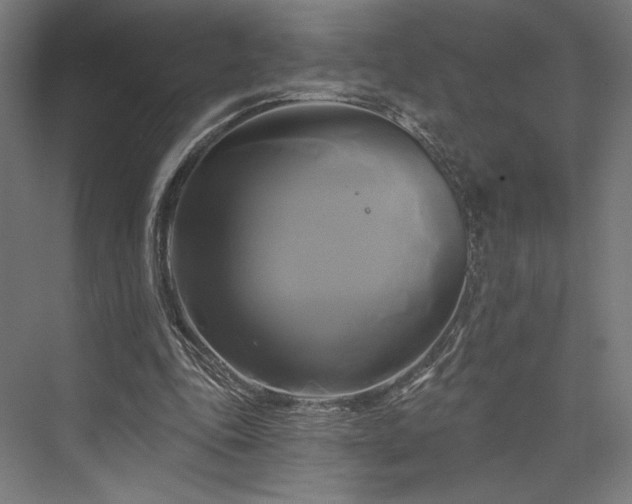 X0000076380343200610061130