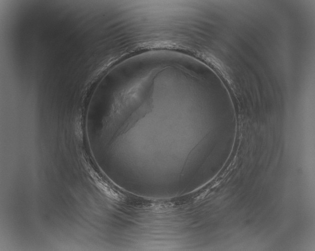 X0000076380345200610061130