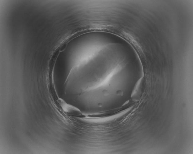 X0000076380346200610061130