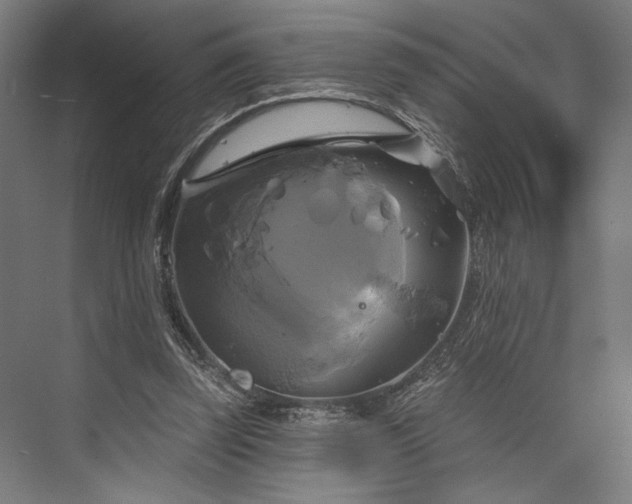 X0000076380347200610061130