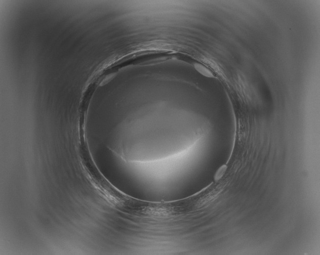 X0000076380349200610061130