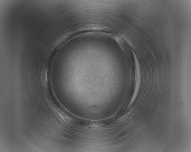 X0000076380350200610061130