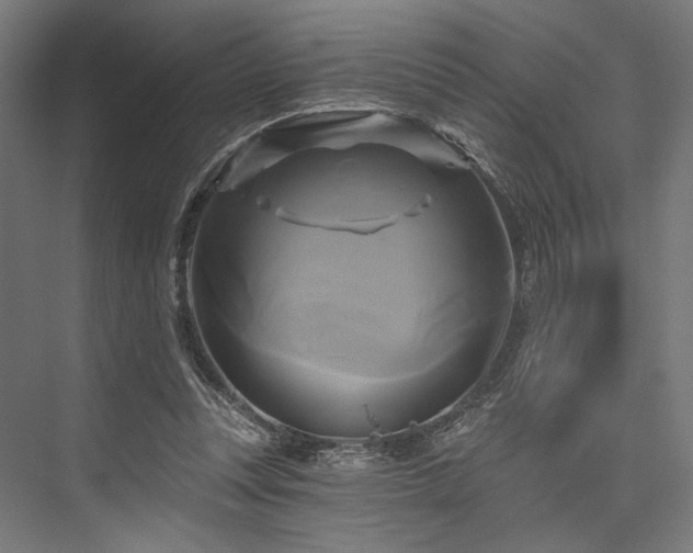 X0000076380351200610061130