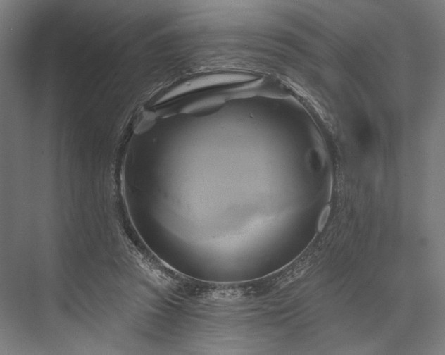 X0000076380353200610061130