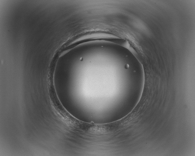 X0000076380354200610061130