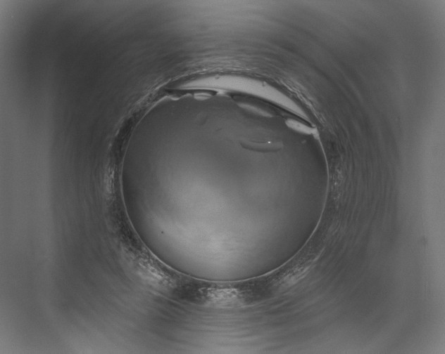 X0000076380355200610061130