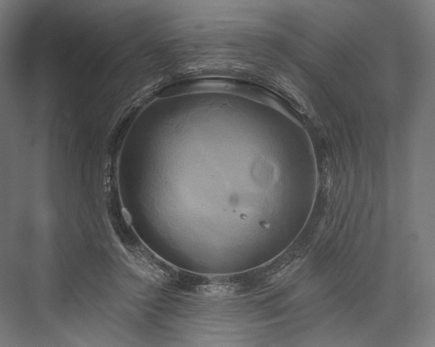 X0000076380356200610061130