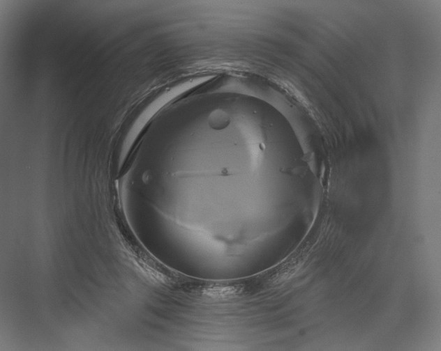 X0000076380357200610061130