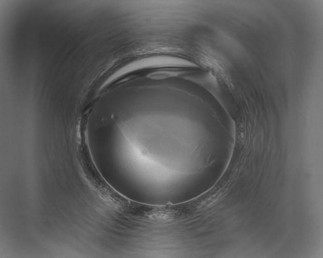 X0000076380358200610061130