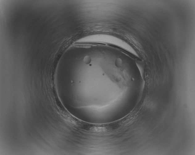 X0000076380361200610061130