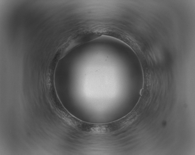 X0000076380362200610061130