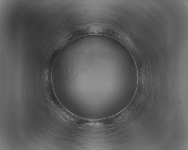 X0000076380363200610061130