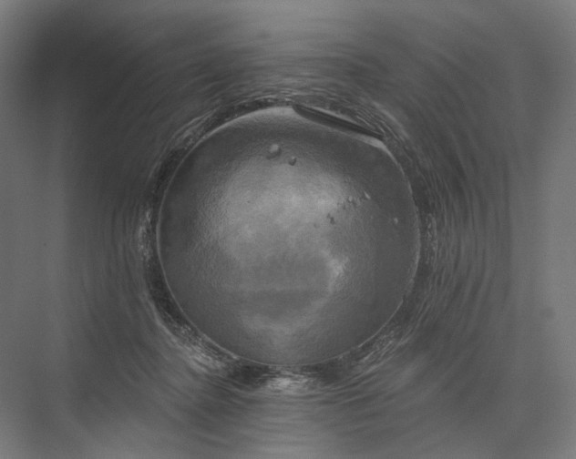 X0000076380364200610061131