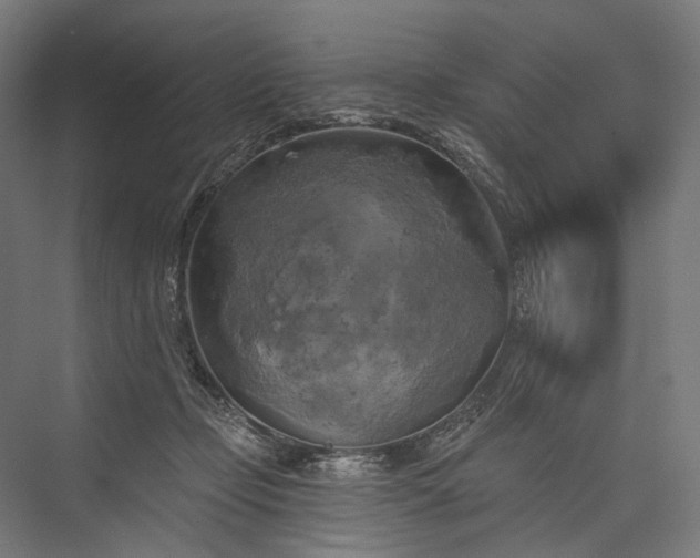 X0000076380365200610061131