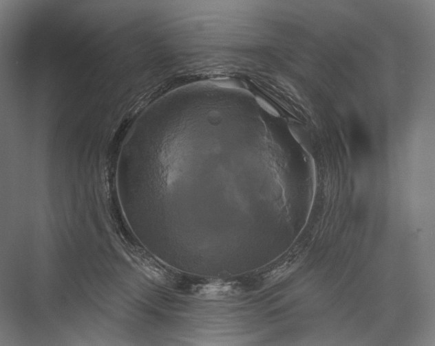 X0000076380366200610061131