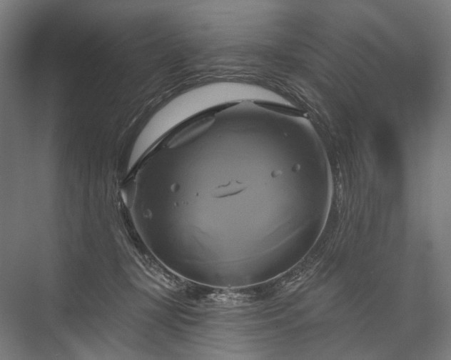 X0000076380367200610061131