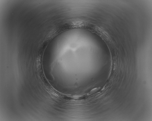 X0000076380369200610061131