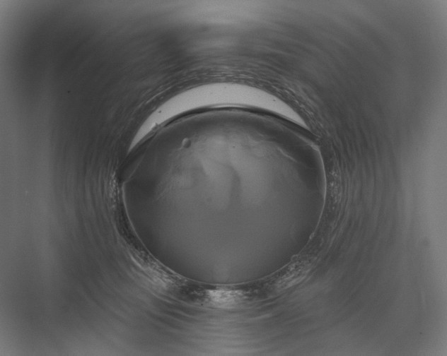 X0000076380371200610061131