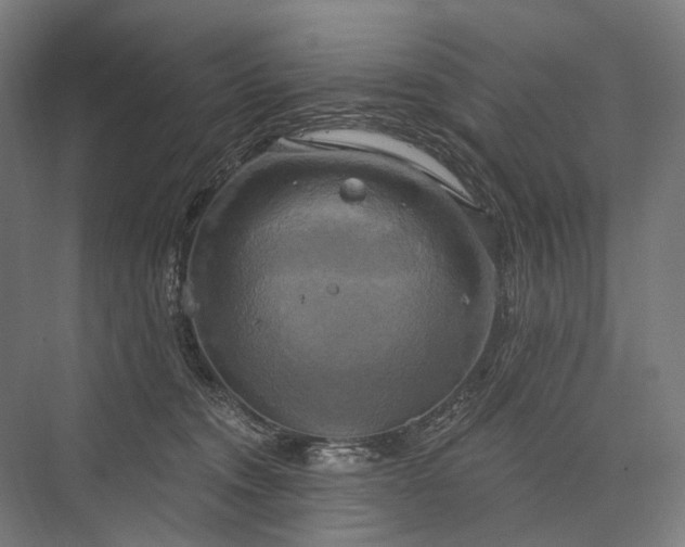 X0000076380372200610061131