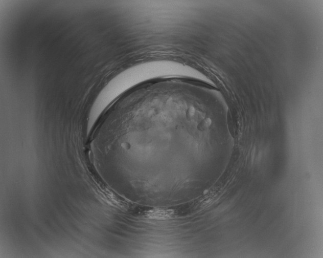 X0000076380373200610061131