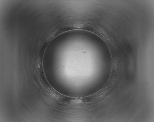 X0000076380374200610061131