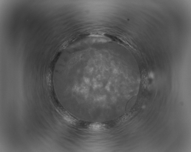 X0000076380375200610061131