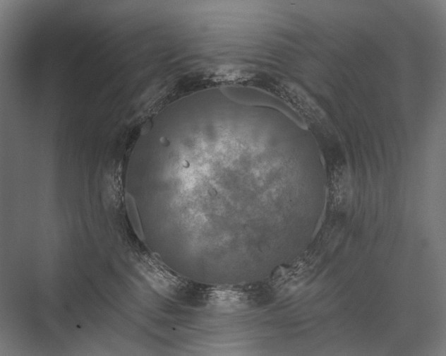 X0000076380376200610061131