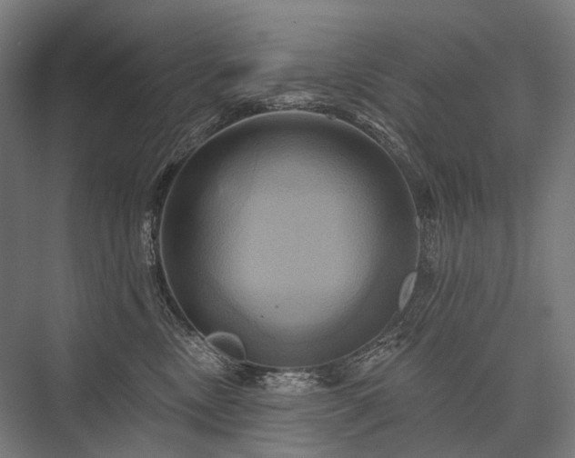 X0000076380378200610061131