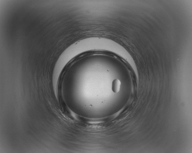 X0000076380380200610061131