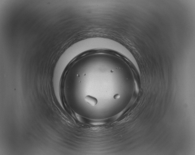 X0000076380382200610061131