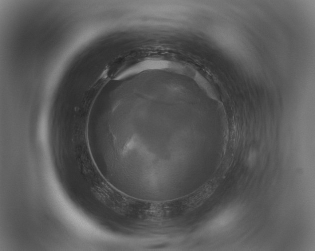 X0000076380383200610061131