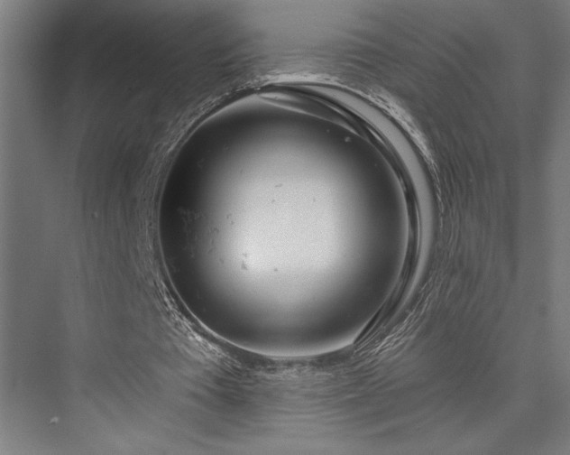 X0000076380385200610061130