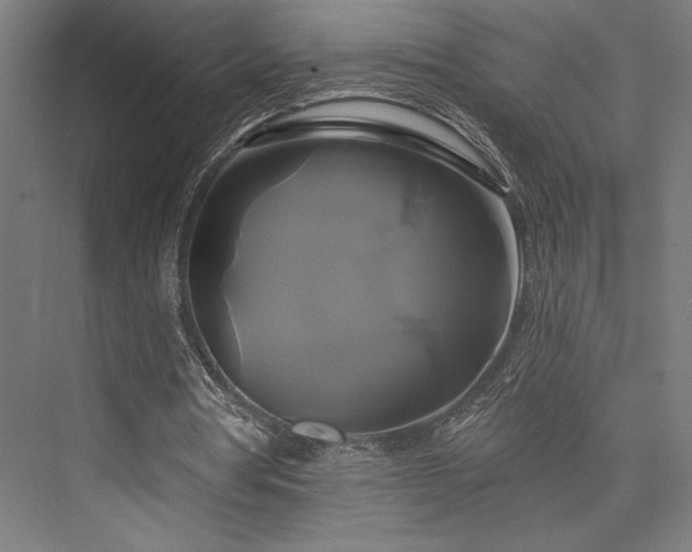 X0000076380386200610061130