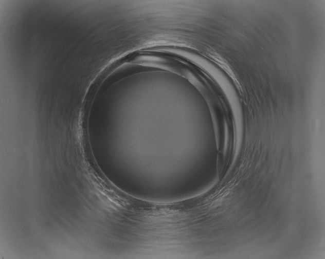 X0000076380387200610061130