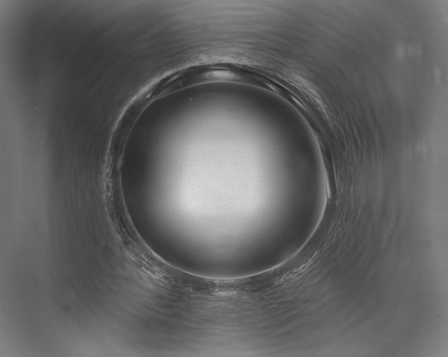 X0000076380388200610061130