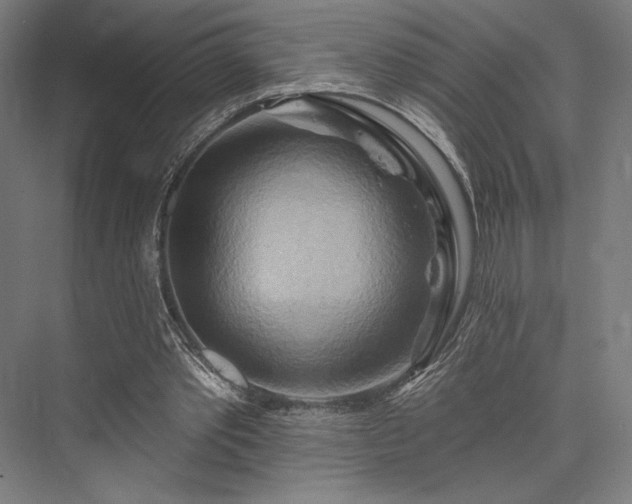 X0000076380389200610061130