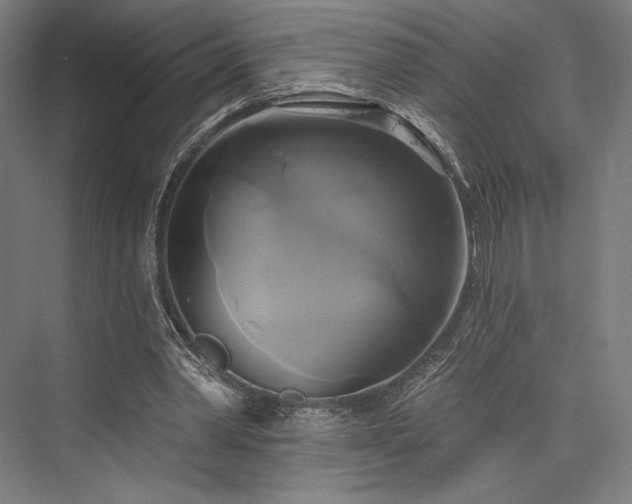 X0000076380390200610061130