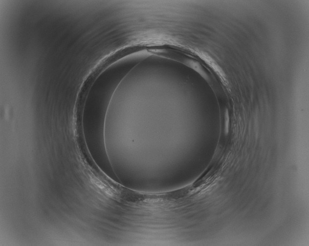 X0000076380391200610061130