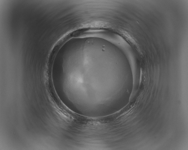 X0000076380392200610061130