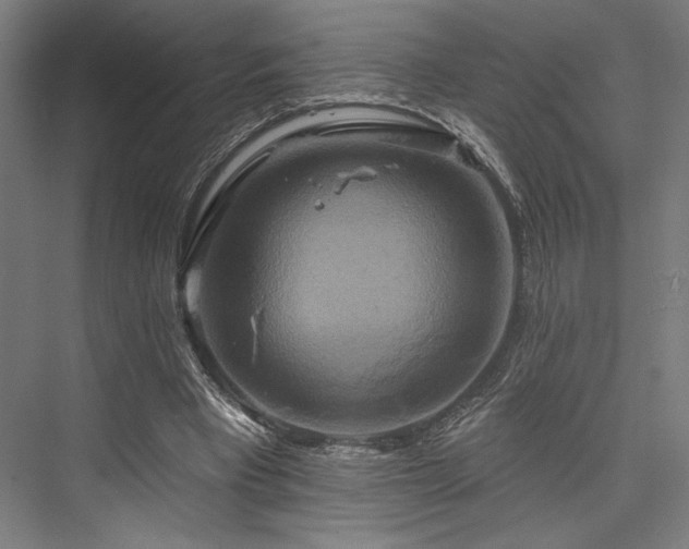 X0000076380393200610061130