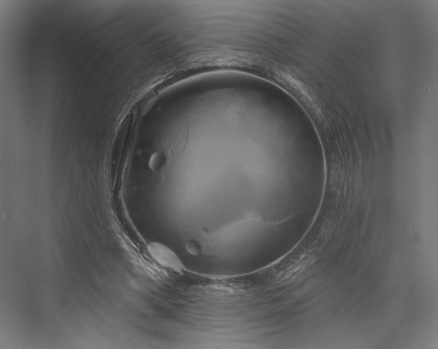 X0000076380394200610061130