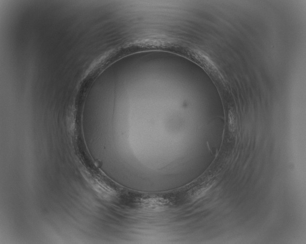 X0000076380396200610061130